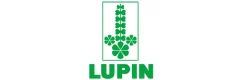 Lupin